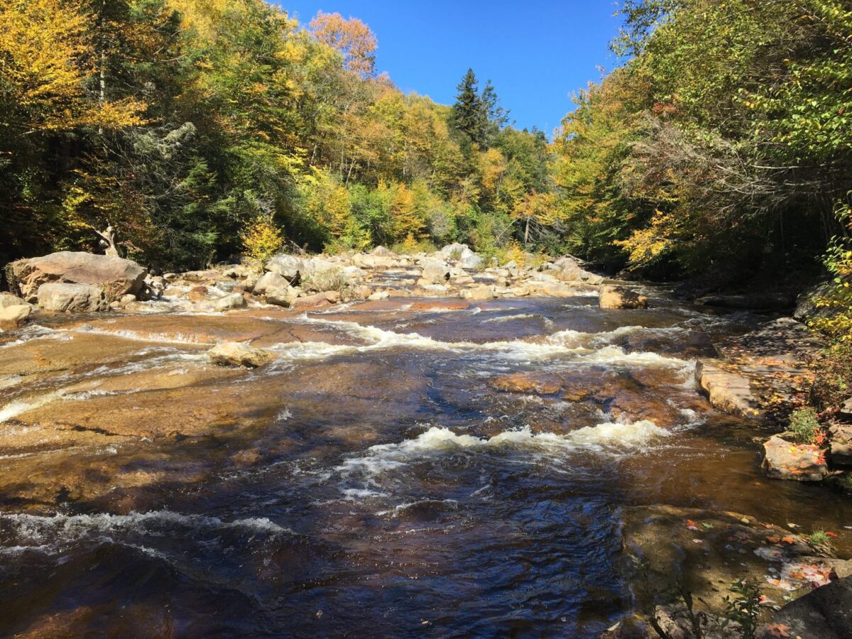 11 Best Dolly Sods Hikes for All Skill Levels [Updated for 2022]