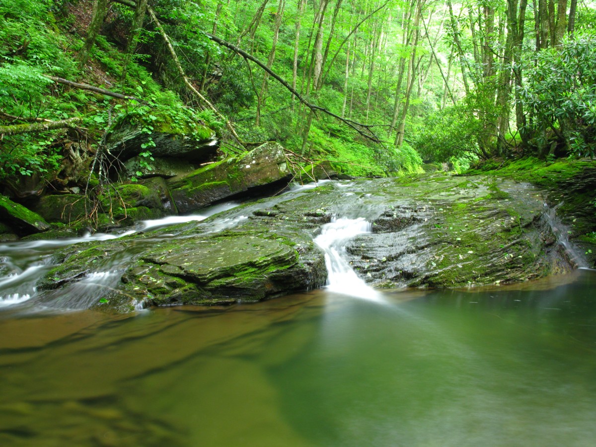 Seneca Creeks waterfall and pool in West Virginia.