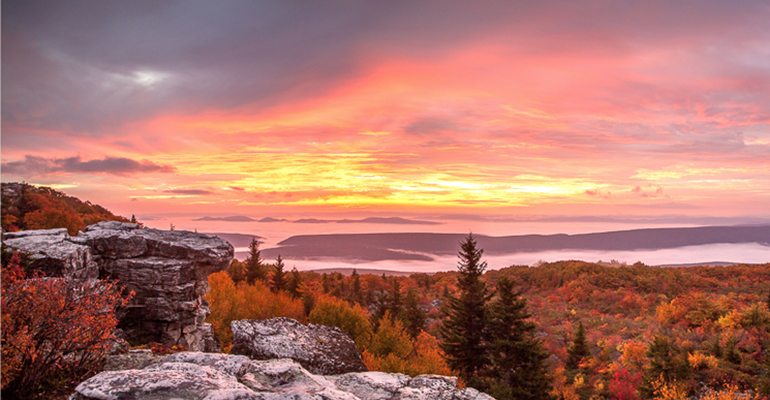 Dolly sods clearance trails